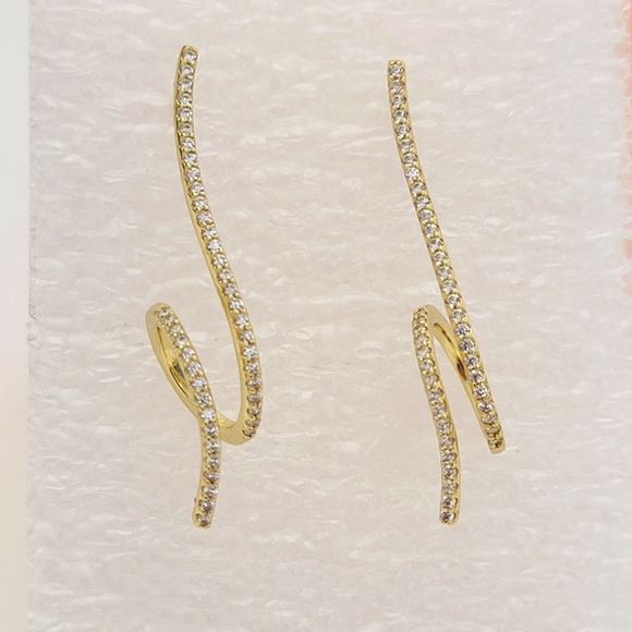 Jewelry - Women's earrings style.  pendant